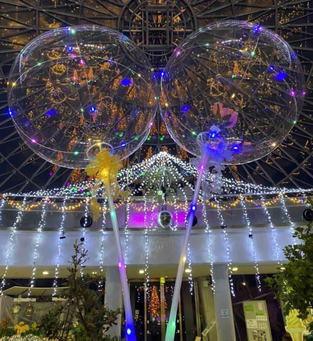 日本最大級のフラワーパーク『とっとり花回廊』の「光る風船をゲットしよう」