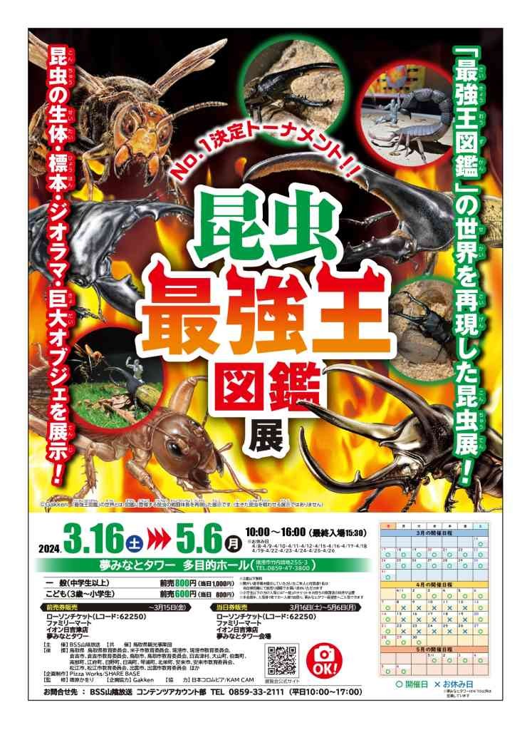 鳥取県境港市のイベント「昆虫最強王図鑑展」のチラシ