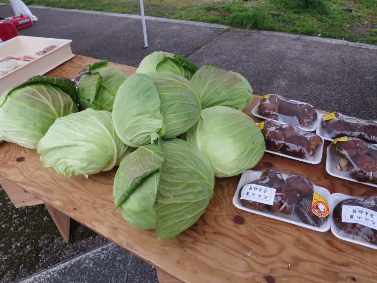 鳥取県米子市『弓ヶ浜公園』で毎週日曜に開催の朝市「ムサシオープンデパート」で販売している野菜