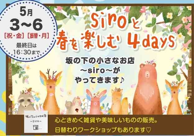 島根県出雲市のイベント「siroと春を楽しむ4days」のチラシ