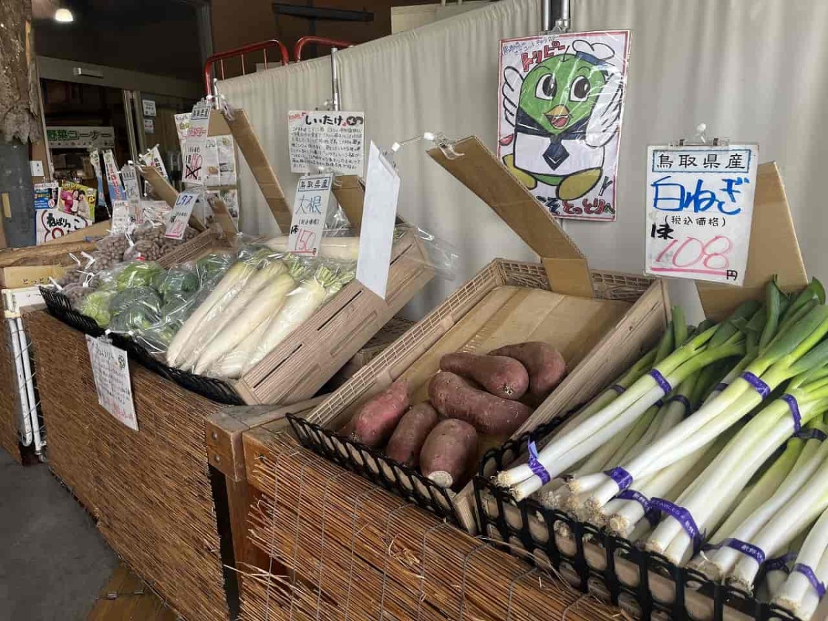 鳥取県西伯郡伯耆町にある『ご当地ファーム山の駅大山望』で販売している野菜