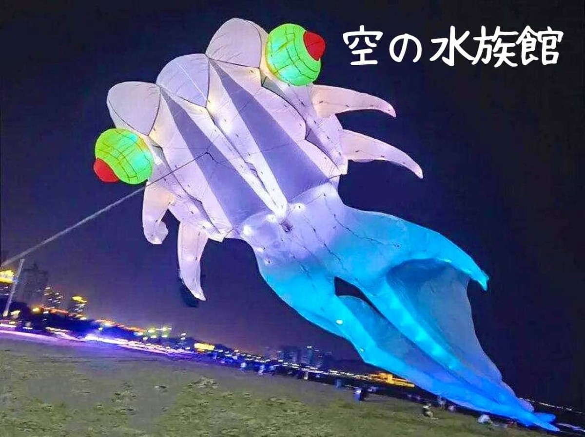 鳥取県米子市で開催中の「カイケジャンボリー４」の「空の水族館」の夜の部