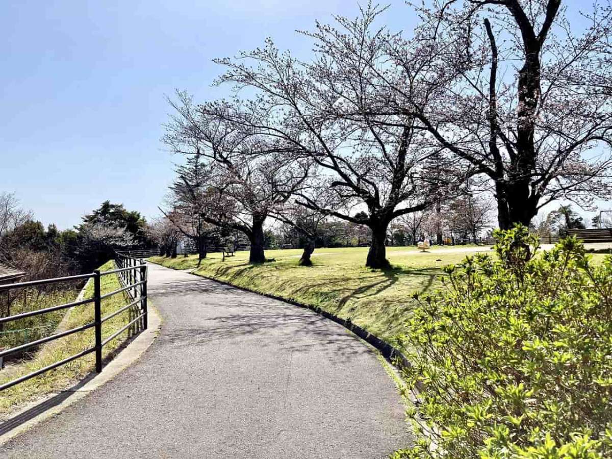 出雲市 桜の名所 一の谷公園 には遊べる遊具もいっぱい 公園であそ部 日刊lazuda ラズダ 島根 鳥取を知る 見る 食べる 遊ぶ 暮らすwebマガジン