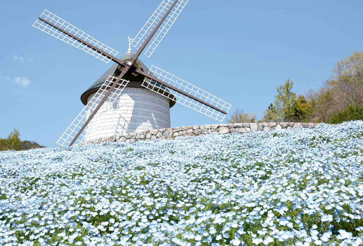 20210408おでかけマンスリー徳島32