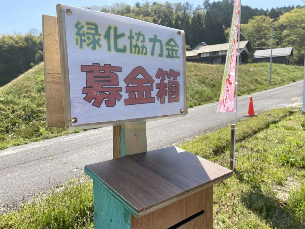 島根県_安来市広瀬町_芝桜_お花スポット_お花畑