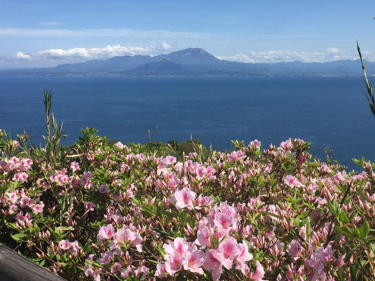 島根県_松江市美保関町_風ヶ浦キャンプ場_アウトドア_オートキャンプ