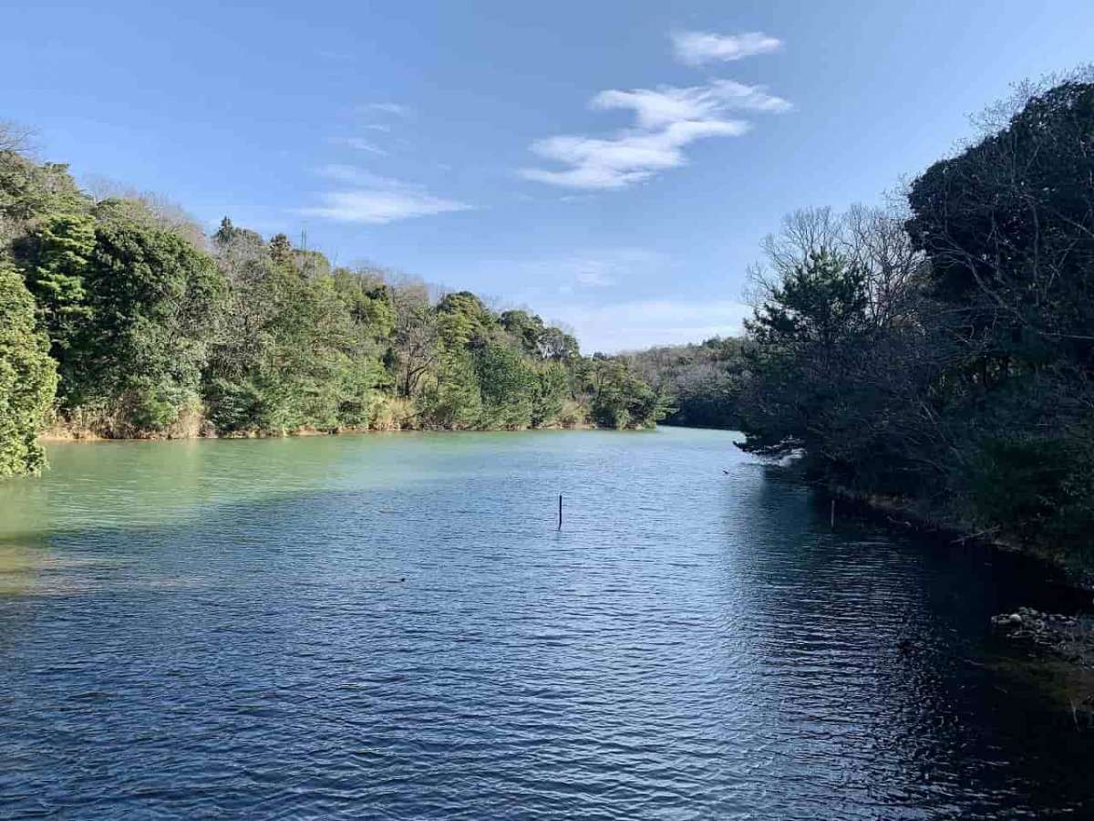 江津市_公園_菰沢公園_コモサワ_遊具_家族連れ_おでかけ_島根西部_子ども_人気_オススメ