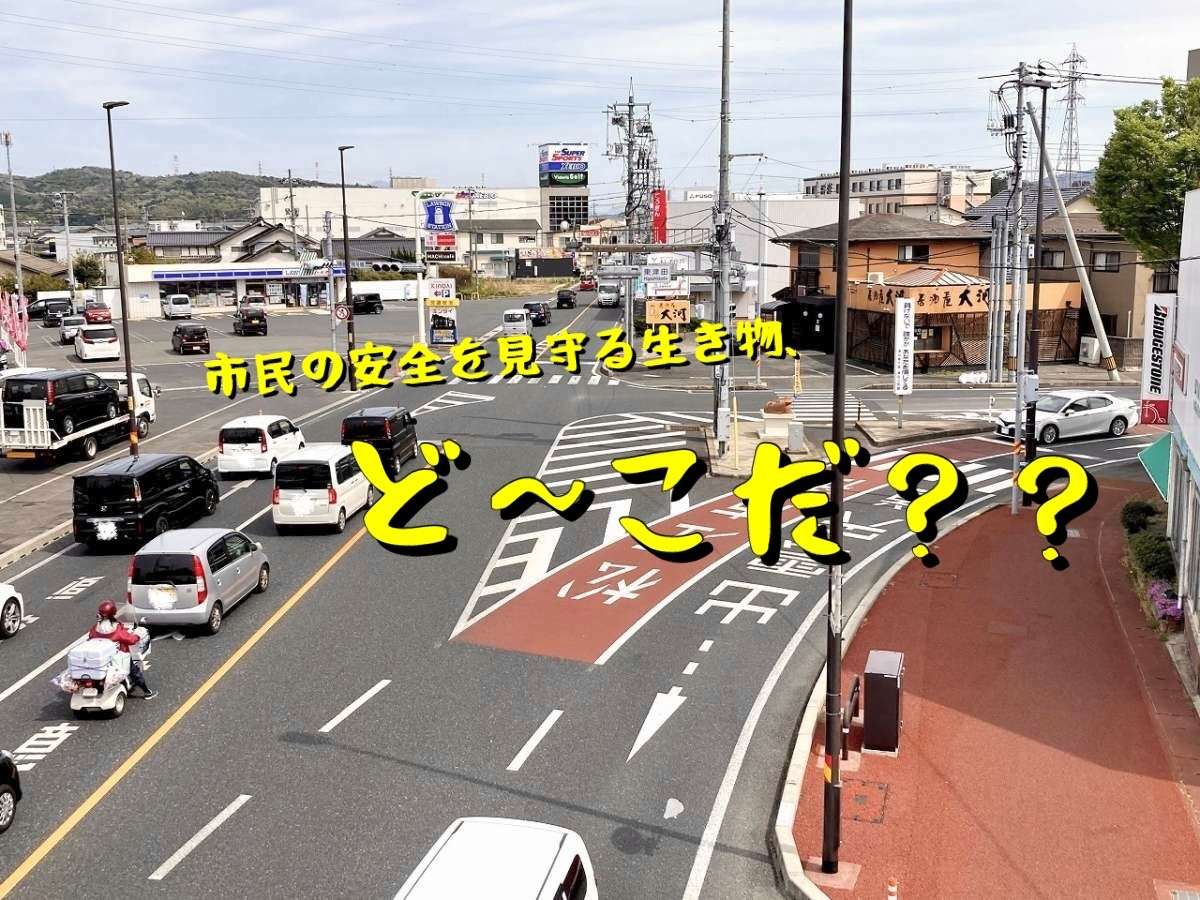 人気記事_【しまとりクイズ】松江の東津田交差点をパトロールする生き物って？＠第50問