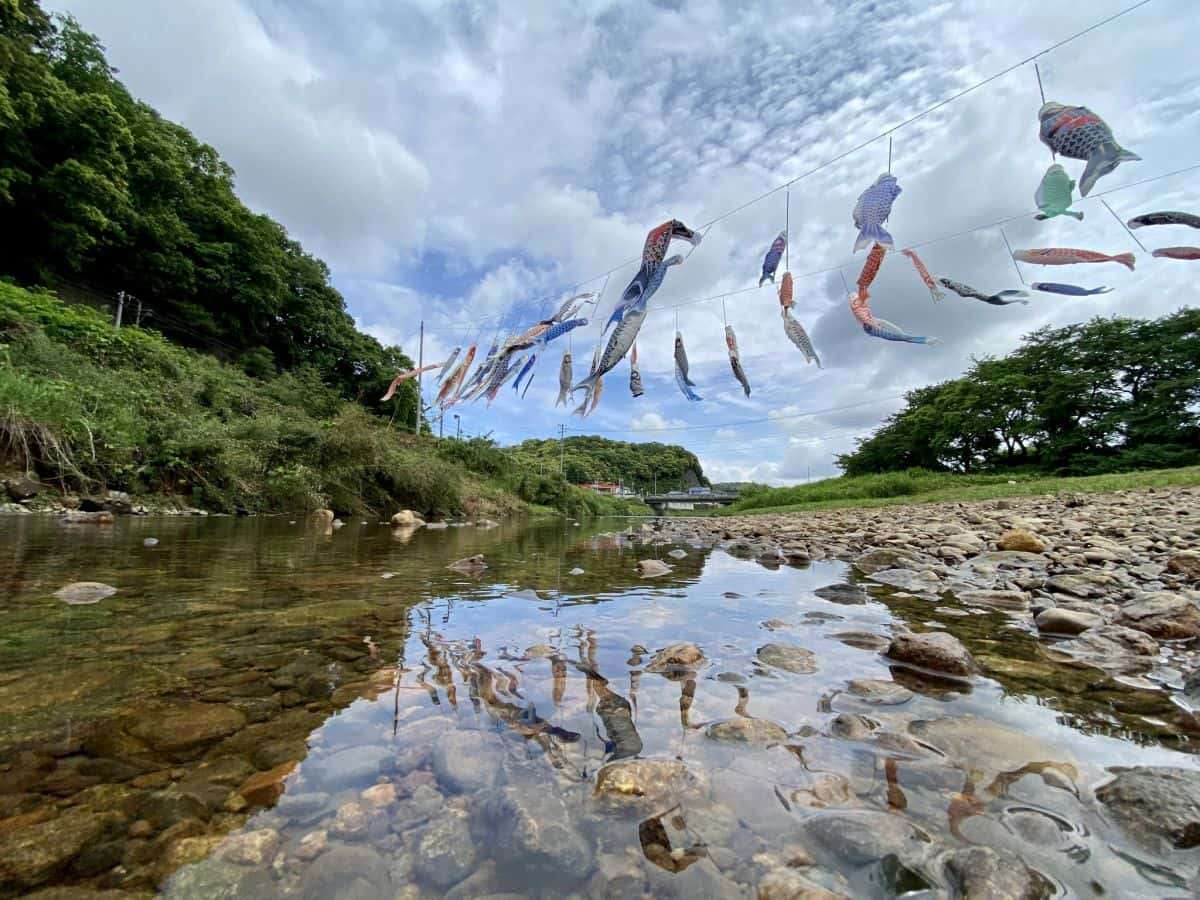 松江市八雲町_日吉親水公園_八雲ゆう游こいのぼり2021