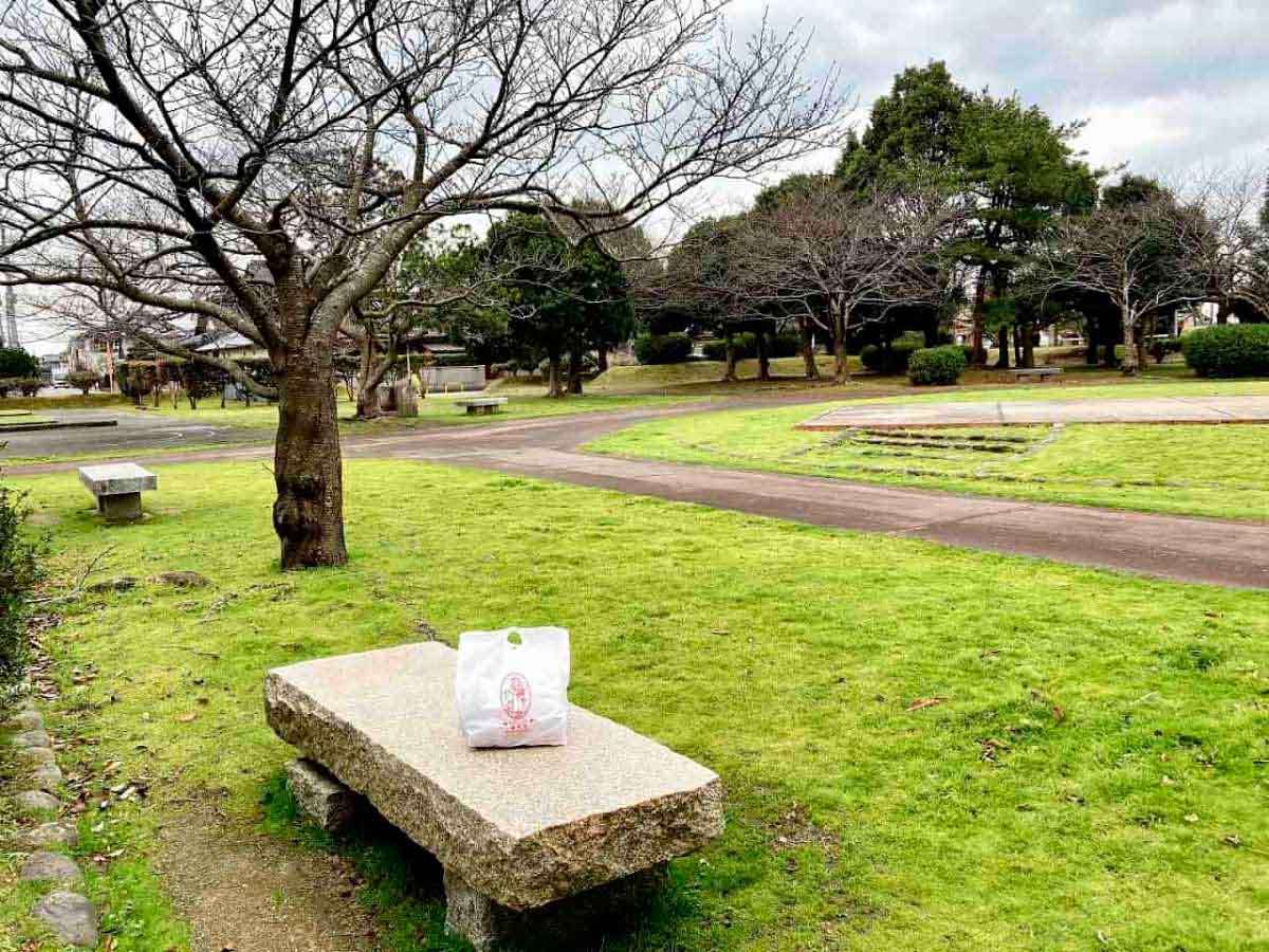 境港市_ピクニック_公園_境中央公園