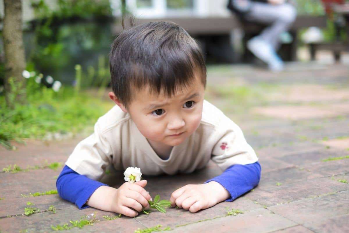 子ども_赤ちゃん_イヤイヤ期_対応方法_初期_中期