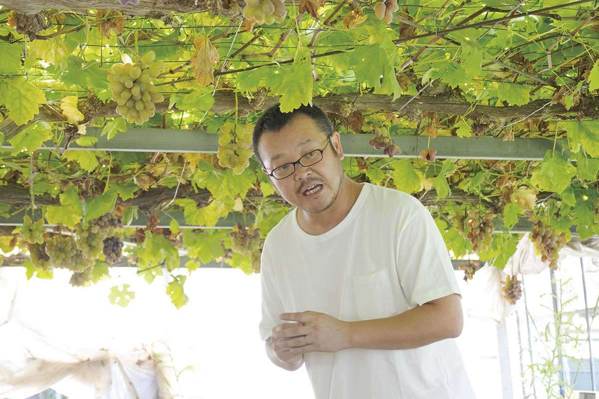 20210610おでかけマンスリー岡山10_林ブドウ研究所