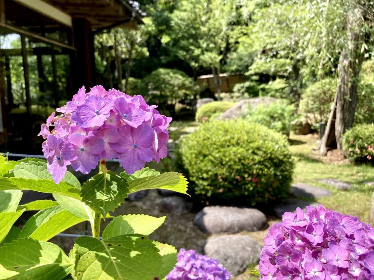 鳥取市_樗谿公園_おうちだに_子連れ_人気_オススメ＿おでかけ_