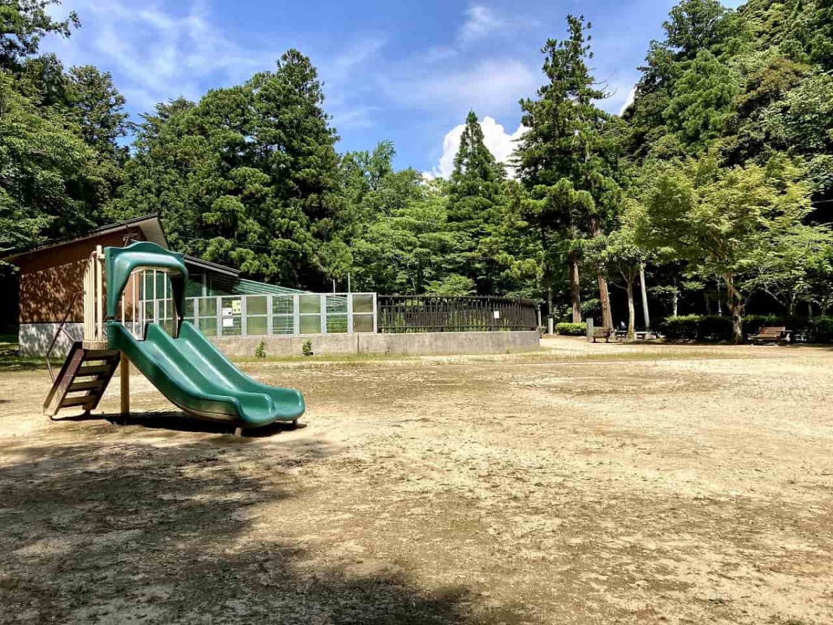 鳥取市_樗谿公園_おうちだに_子連れ_人気_オススメ＿おでかけ_