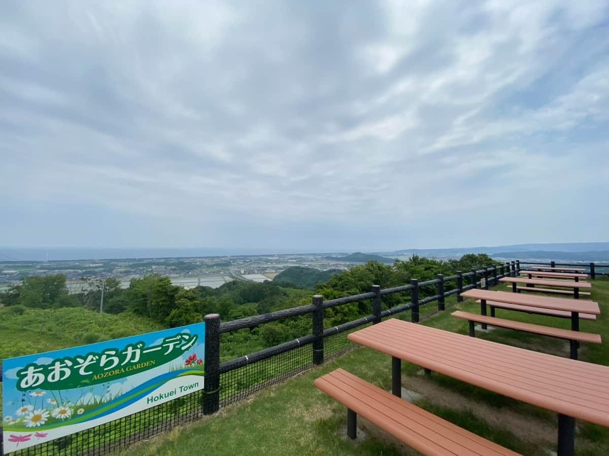 鳥取県北栄町_絶景スポット_観光_穴場_蜘ヶ家山山菜の里_くもがやま_公園_ピクニック