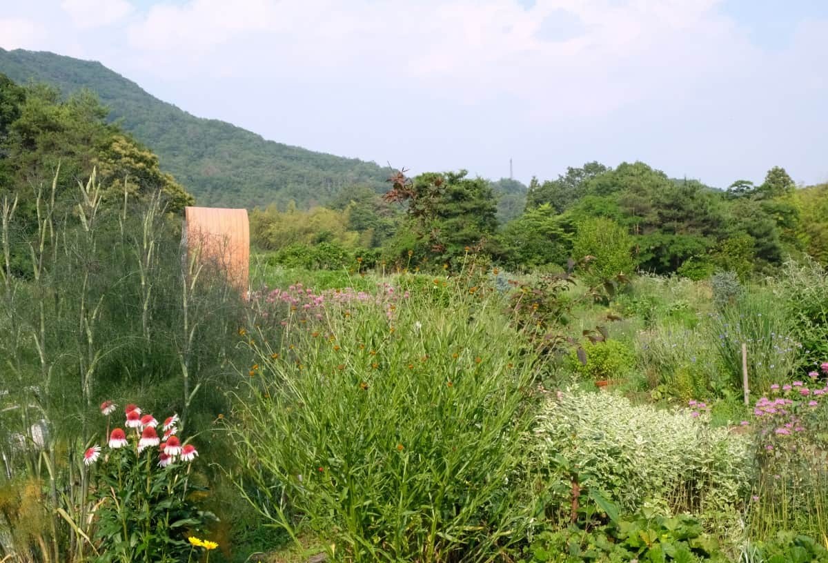 島根県邑南町_観光_穴場_人気_摘み樹ガーデン_お花畑_動物ふれ合い体験