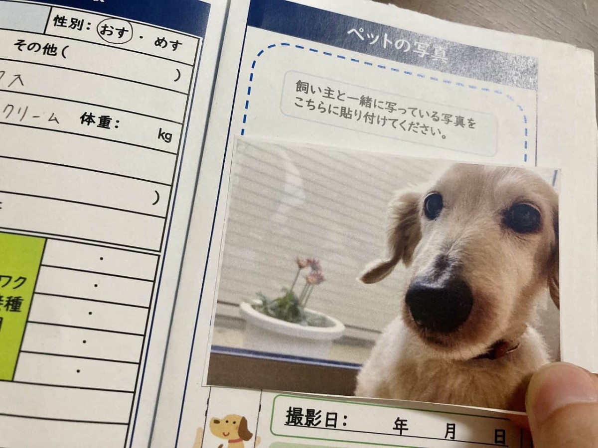 人気記事_【実践】米子市から「ペット防災手帳」が出てたので早速作ってみたよ