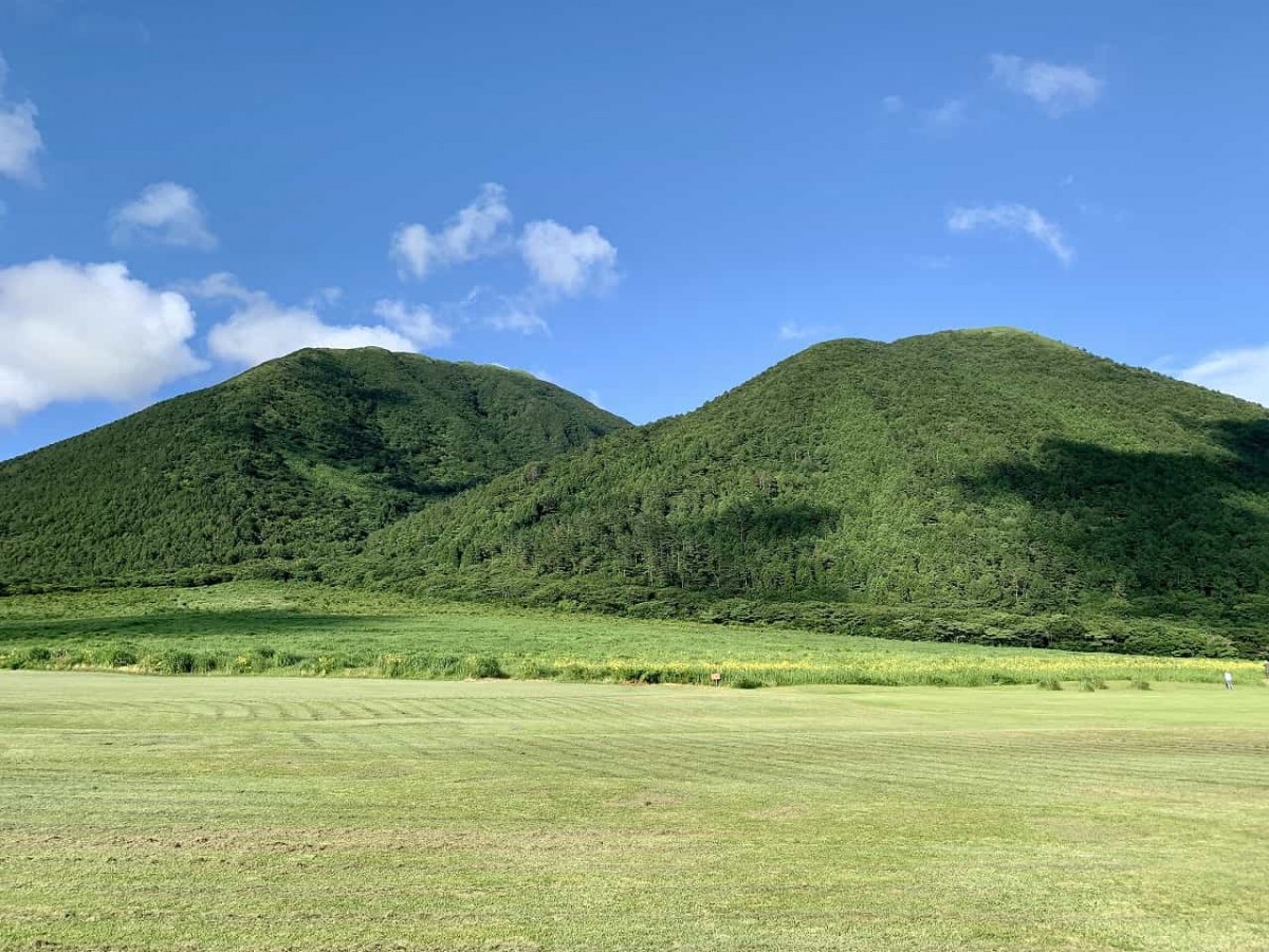 大田市_三瓶山_ユウスゲ_おでかけ_山の駅さんべ_映えスポット_写真_カメラ_夏の花_オススメ