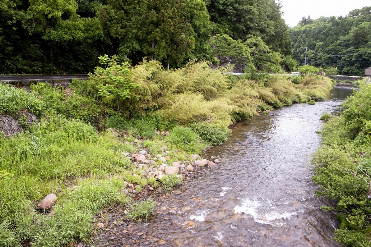 島根県飯南町_観光_ランチ_おすすめ_穴場_加田の湯_ごんべえ茶屋