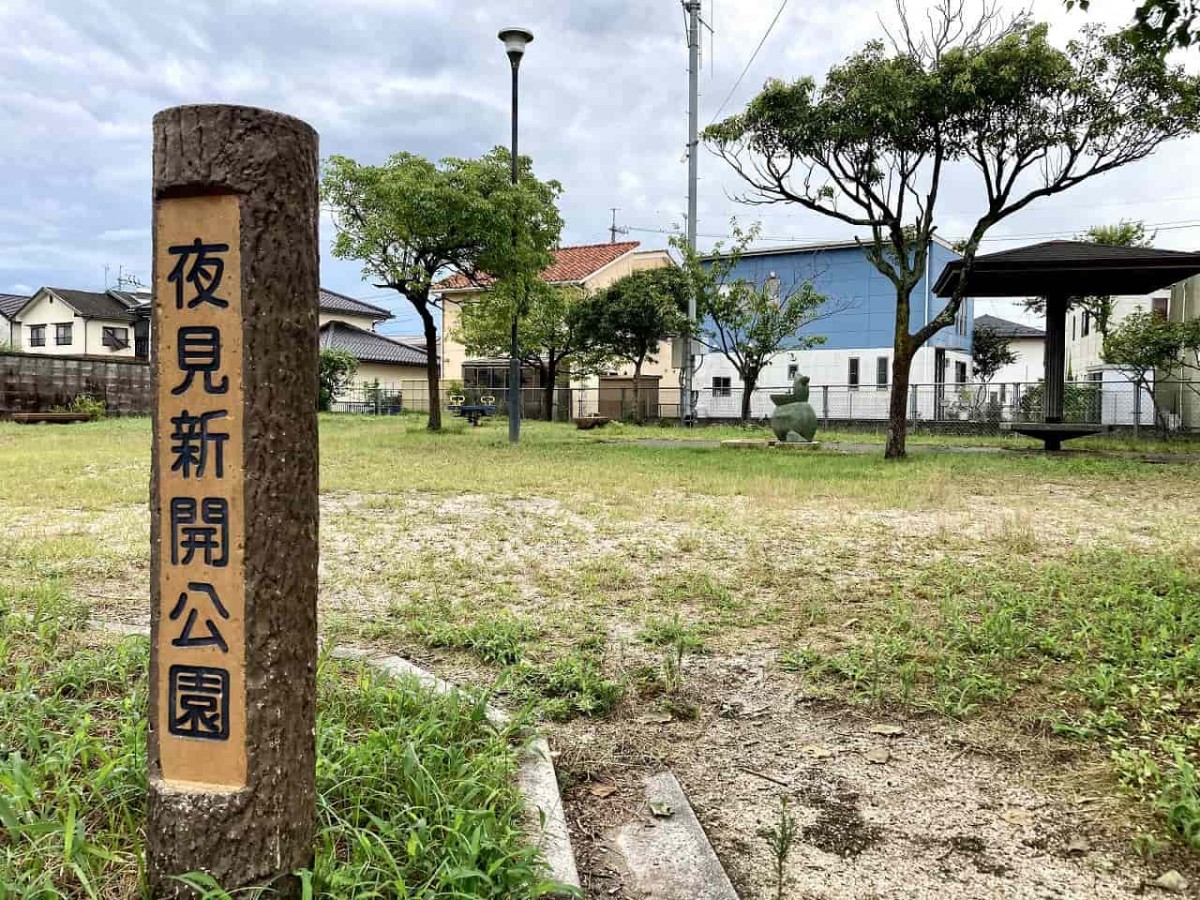 米子市_公園_オススメ_お出かけ_懐かしい_夜見新開公園_カエル公園_かえる