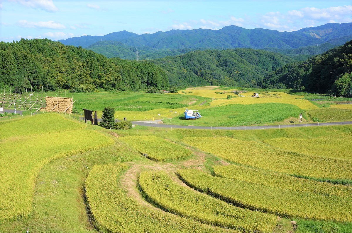 島根県雲南市_カフェ_穴場_絶景_おすすめ_ランチ_山ん中の古民家cafe下上屋