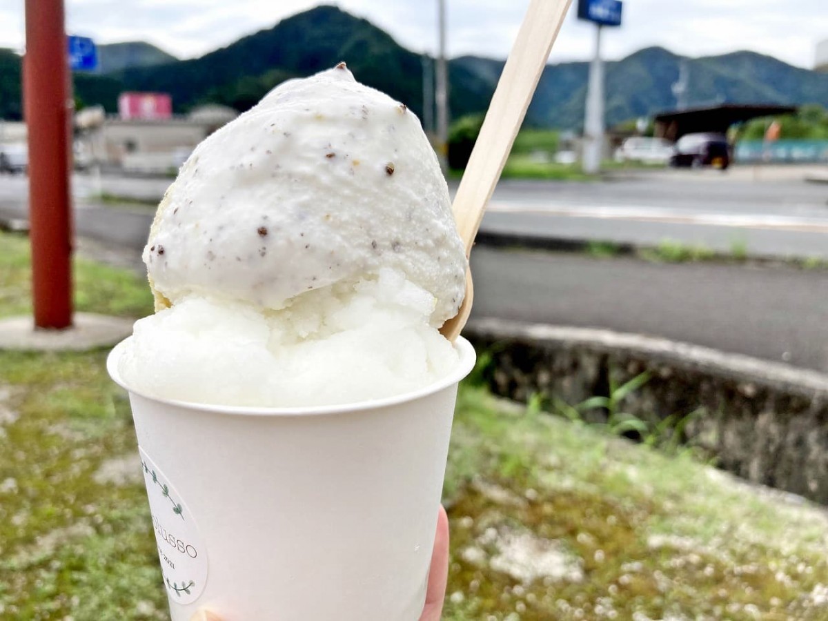 島根県邑智郡_川本町_道の駅_かわもと_ピッコルッソ_ジェラート_アップルパイ_スイーツ_えごま_オススメ_人気