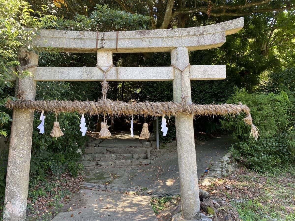 鳥取県八頭町_大江神社_観光_穴場_おすすめ