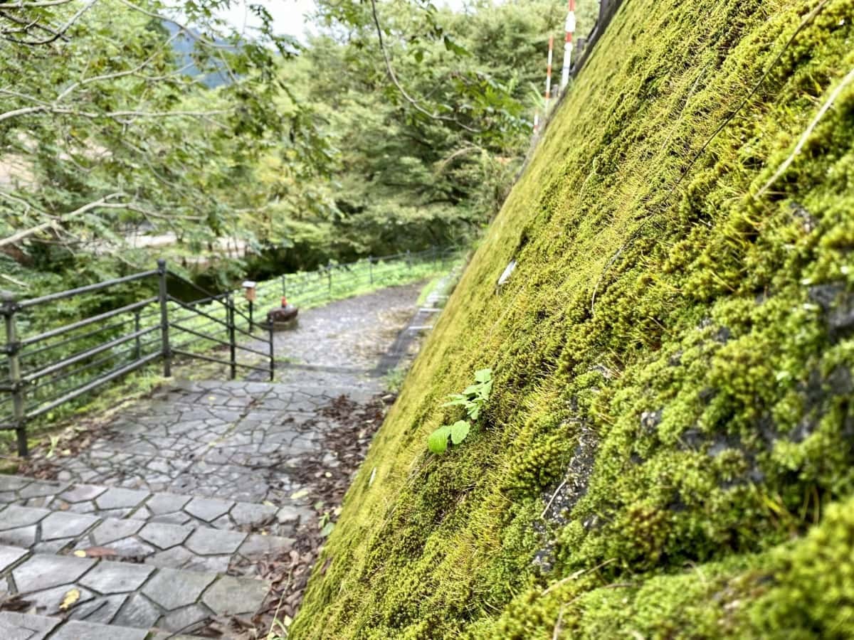 島根県奥出雲町_観光_穴場_延命水_場所_料金