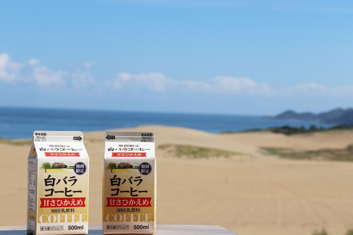 白バラ_大山乳業_白バラコーヒー_甘さひかえめ_販売場所_価格