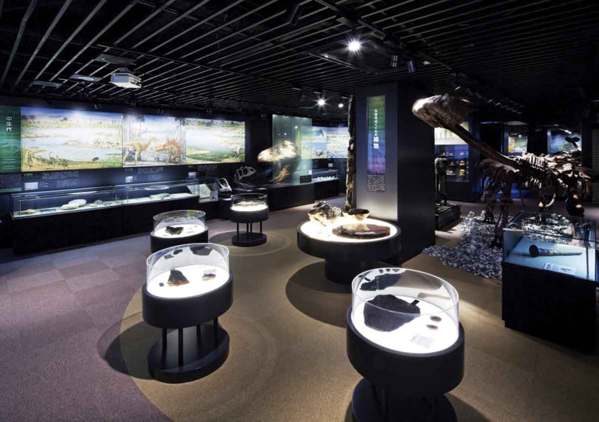 20210928おでかけマンスリー島根24_多根自然博物館2