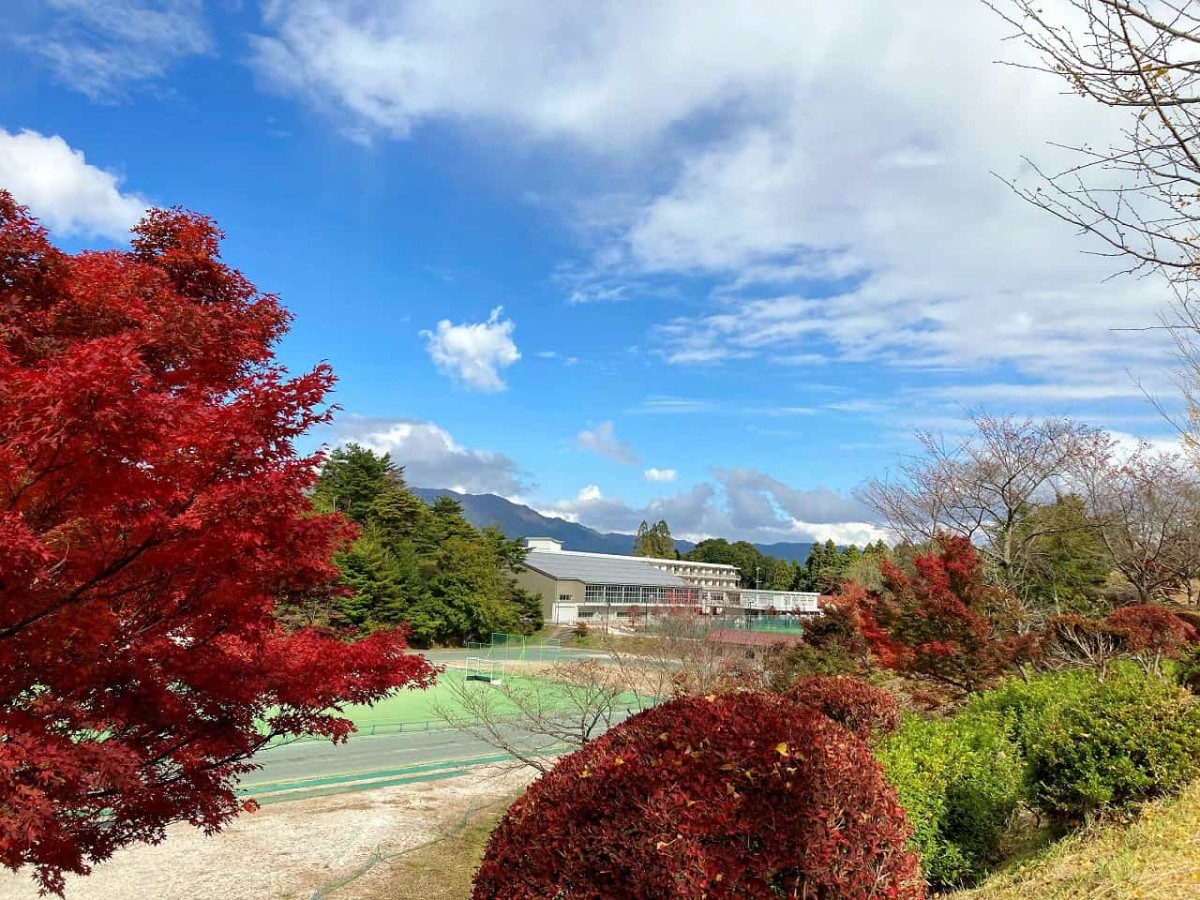 島根県奥出雲町_横田公園_公園_子連れ_ランニング_ウォーキング_紅葉