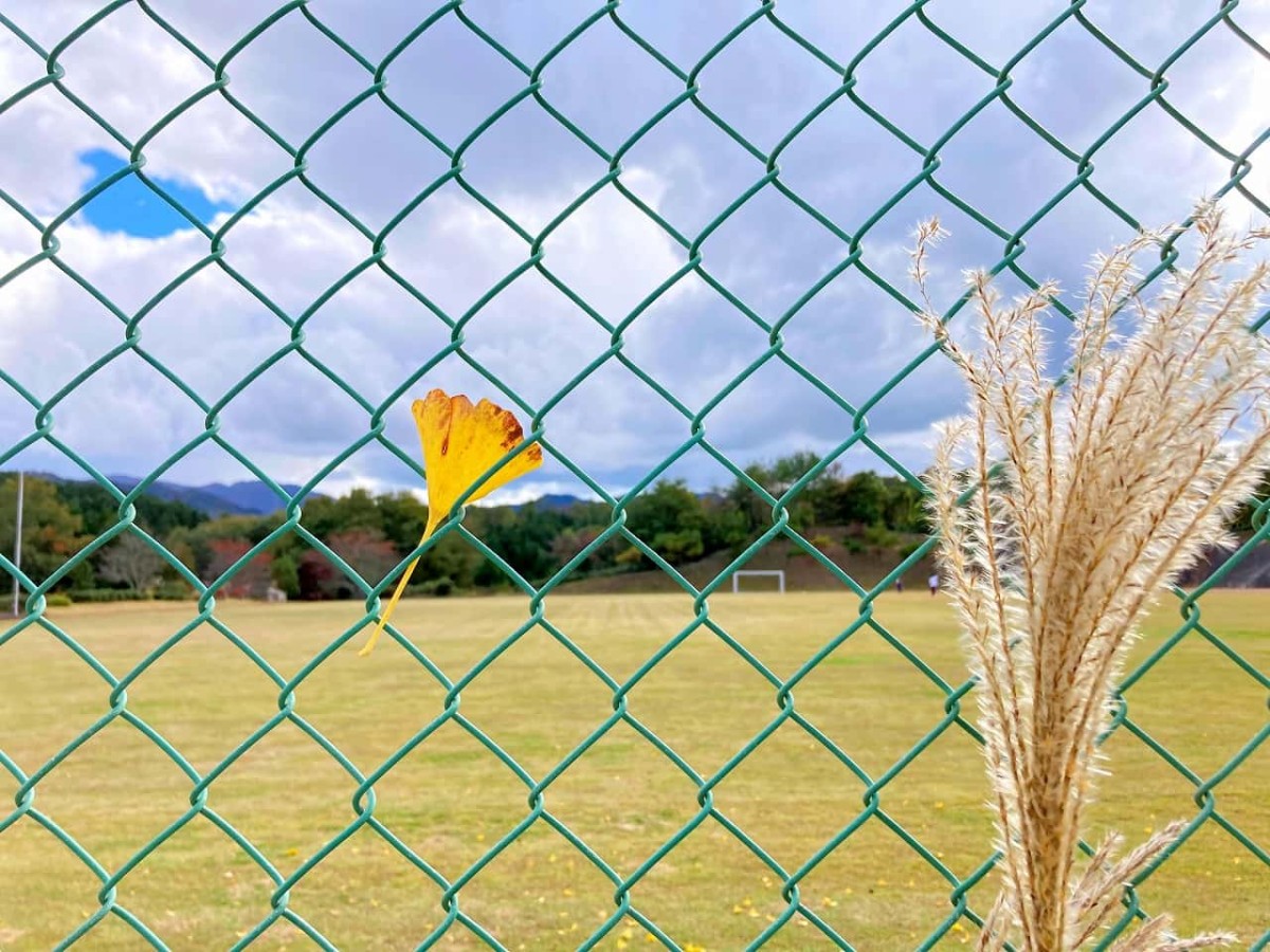 島根県奥出雲町_横田公園_公園_子連れ_ランニング_ウォーキング_紅葉