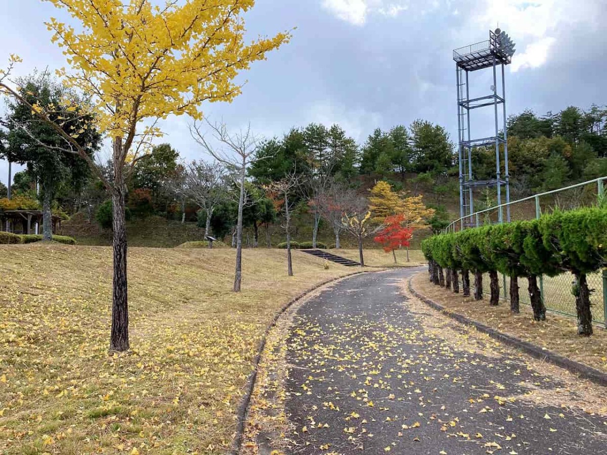 島根県奥出雲町_横田公園_公園_子連れ_ランニング_ウォーキング_紅葉