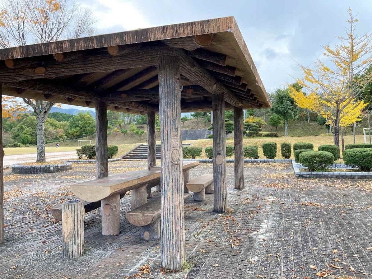 島根県奥出雲町_横田公園_公園_子連れ_ランニング_ウォーキング_紅葉