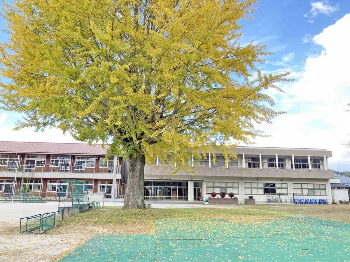 島根県奥出雲町_紅葉_名所_穴場_八川小学校_イチョウの木