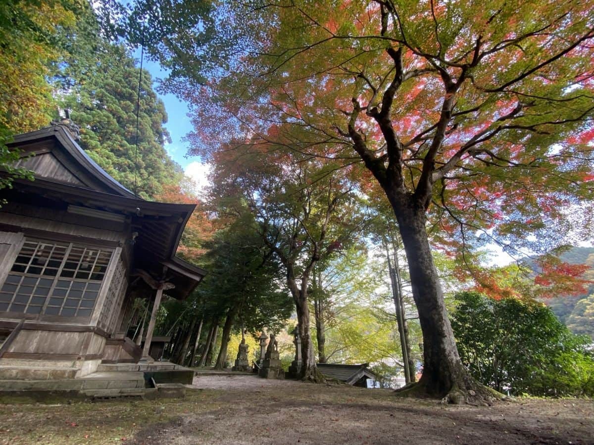 鳥取県日南町_生山神社_紅葉_穴場_行き方_場所_線路