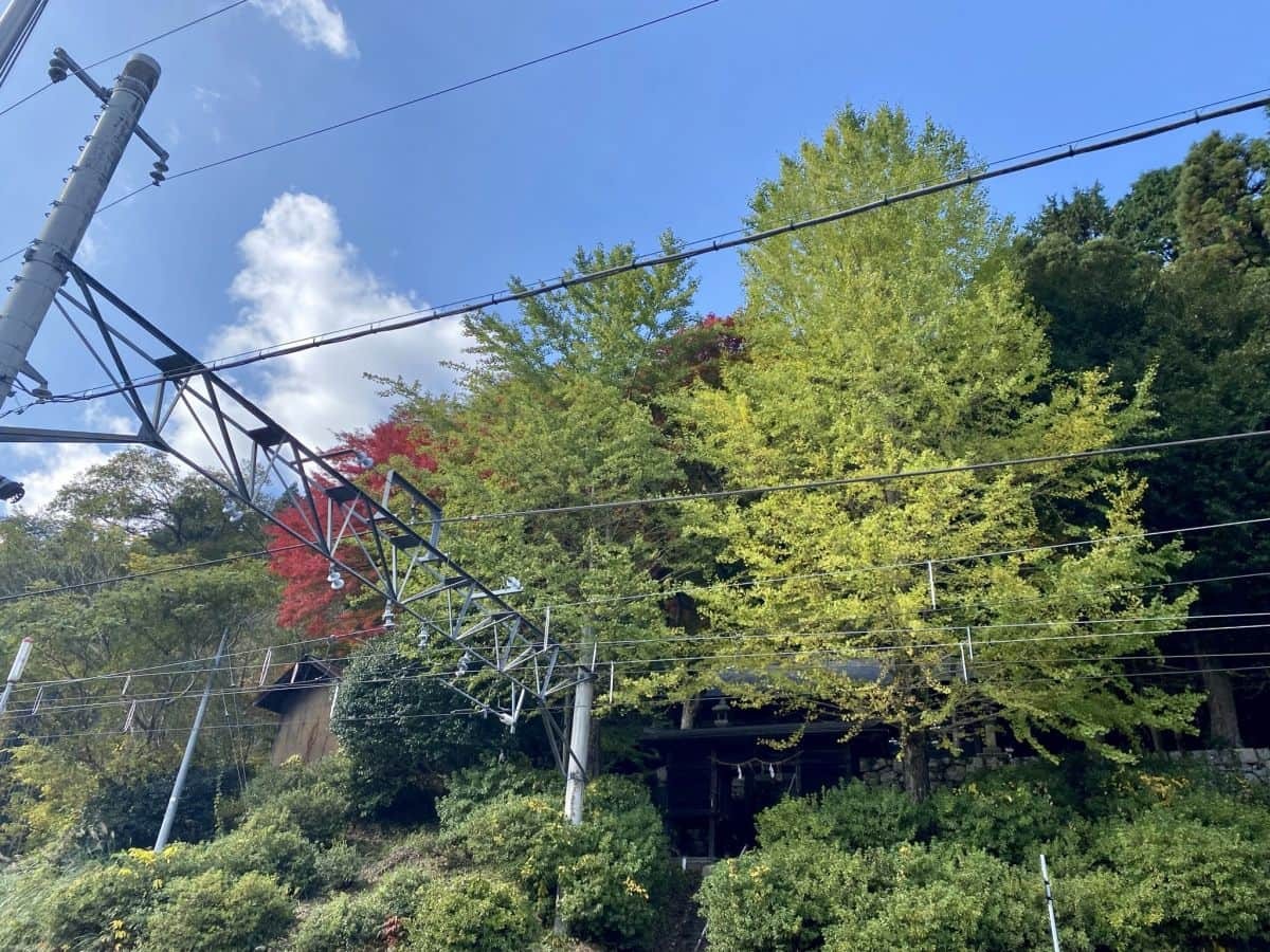 鳥取県日南町_生山神社_紅葉_穴場_行き方_場所_線路