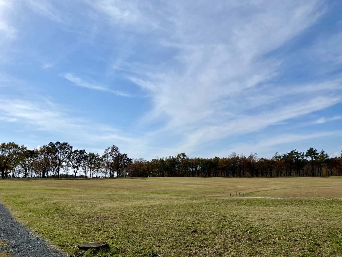 島根県大田市_三瓶山_ススキ_見ごろ_駐車場_季節_観光_穴場