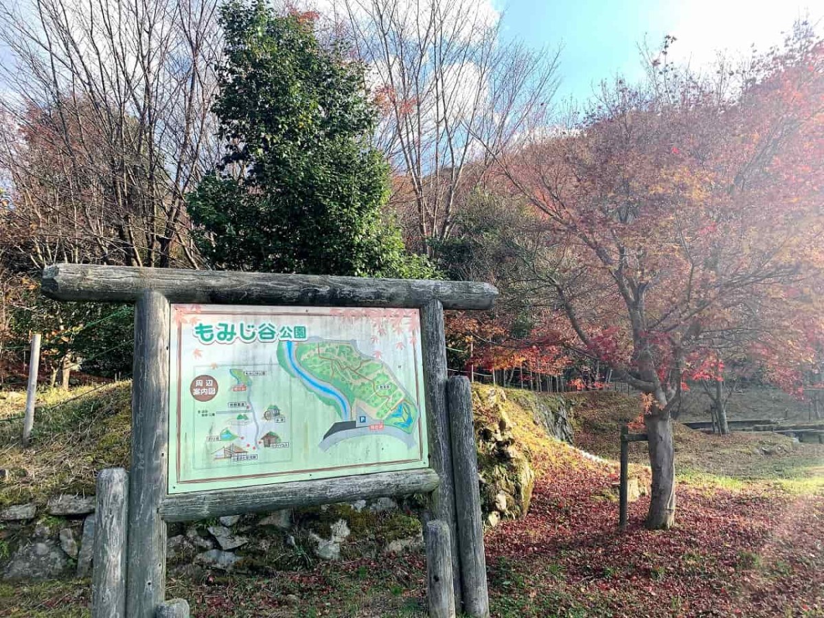 島根県浜田市_もみじ谷公園_紅葉スポット_椿_散策_ドライブ_穴場_オススメ