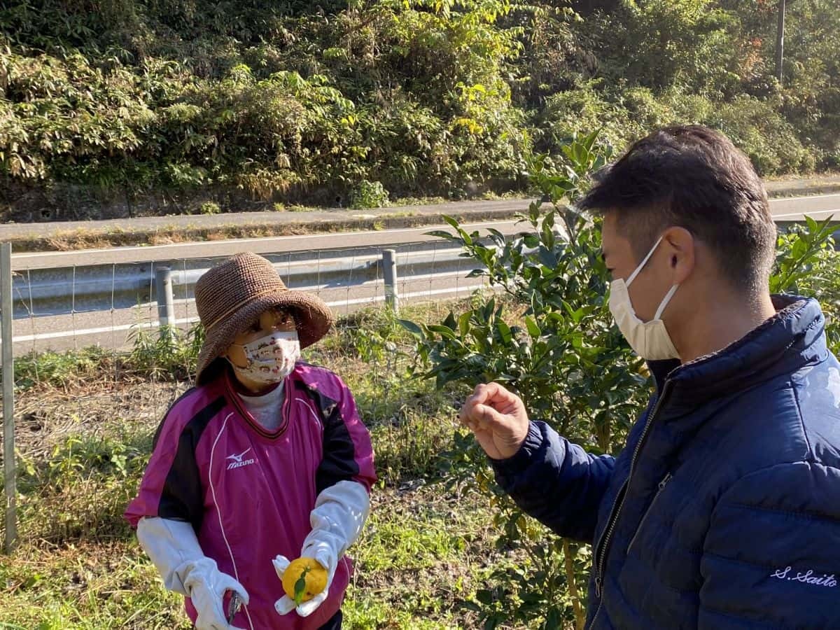 島根県益田市_美都町_ゆず_収穫体験_しまっち_クチコミ