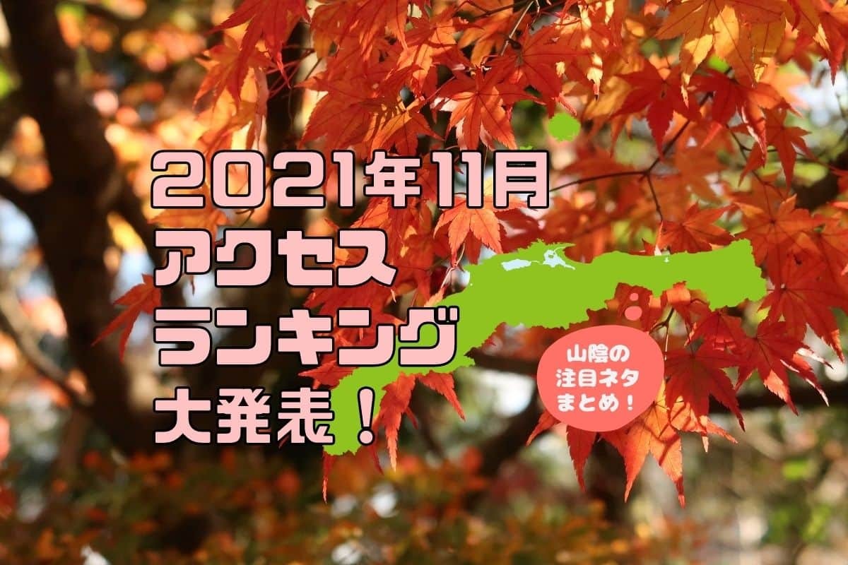 ラズダ_アクセス数_2021年11月