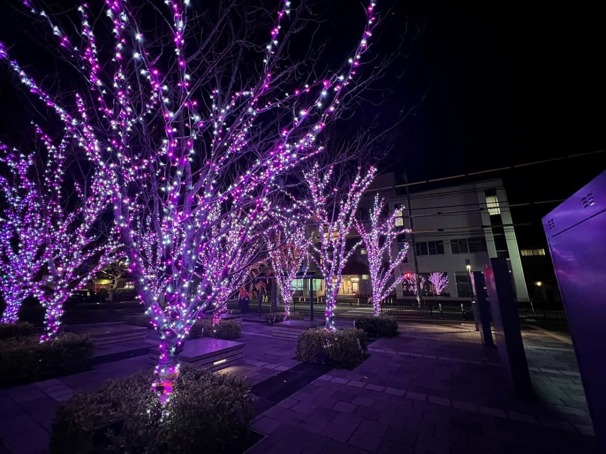 島根県安来市_どじょナリエ_イルミネーション_安来市役所_オススメスポット_夜イベント