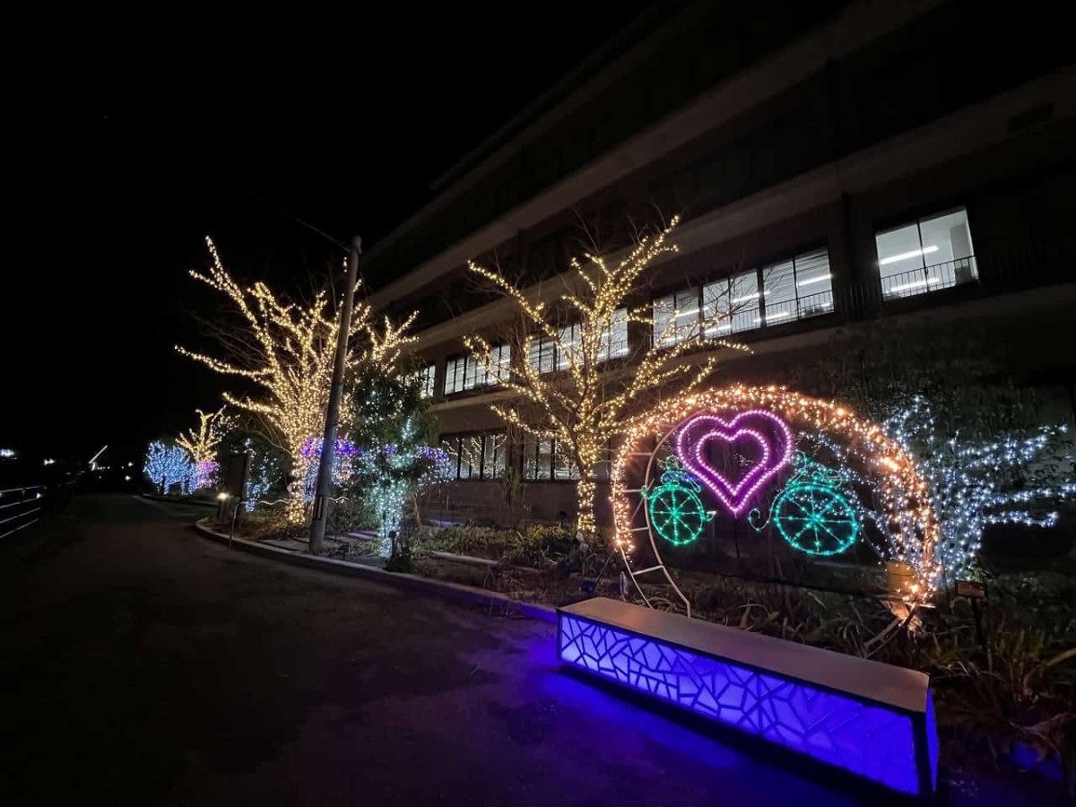 島根県安来市_どじょナリエ_イルミネーション_安来市役所_オススメスポット_夜イベント