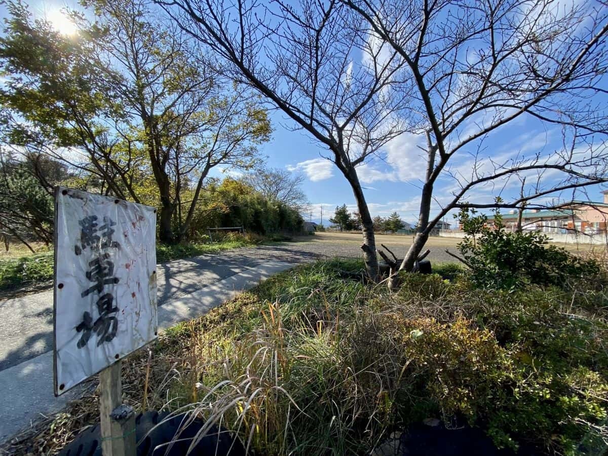 鳥取市_賀露神社_かろじんじゃ_駐車場_狛犬_虎_寅年