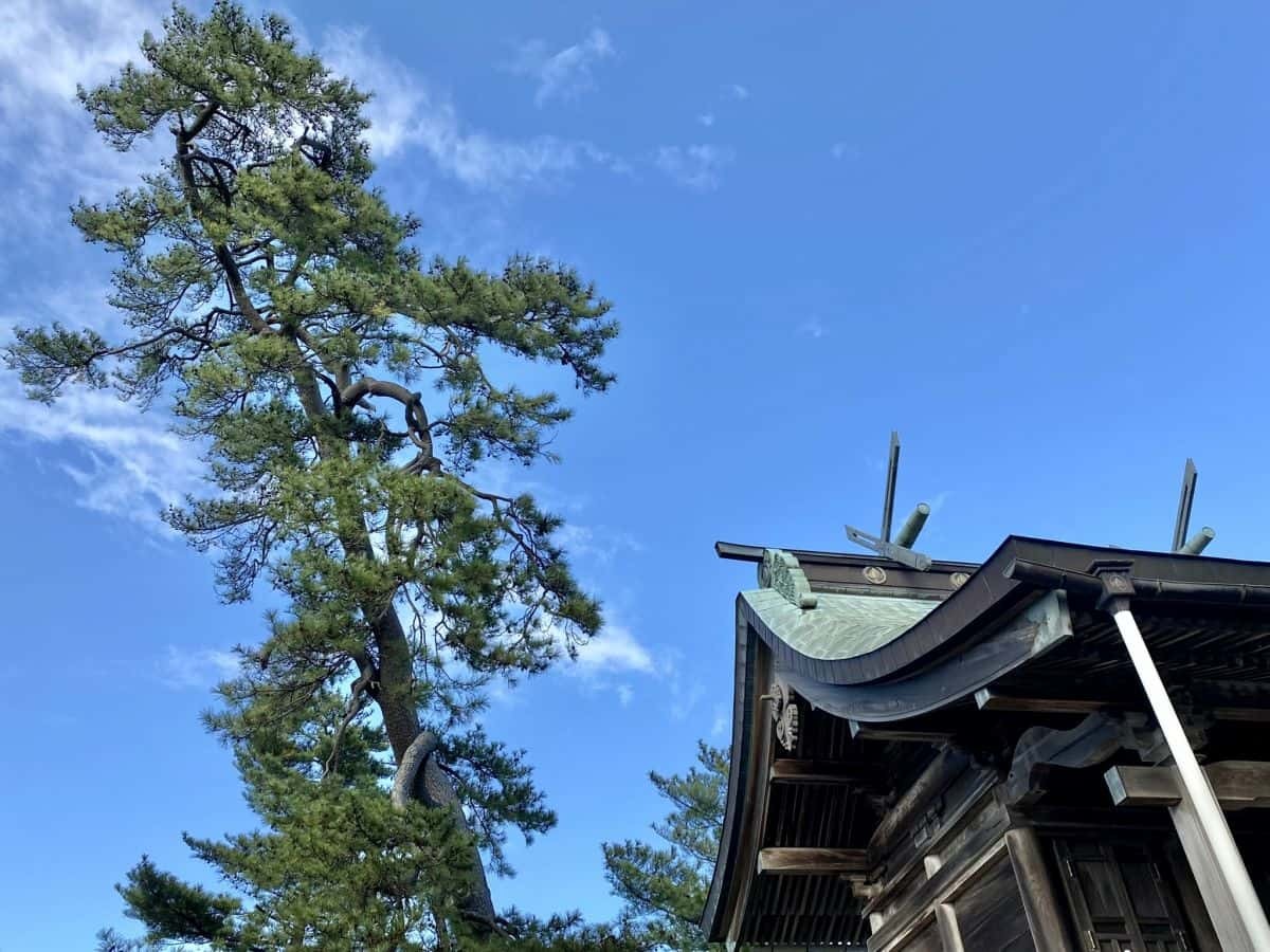 鳥取市_賀露神社_かろじんじゃ_駐車場_狛犬_虎_寅年