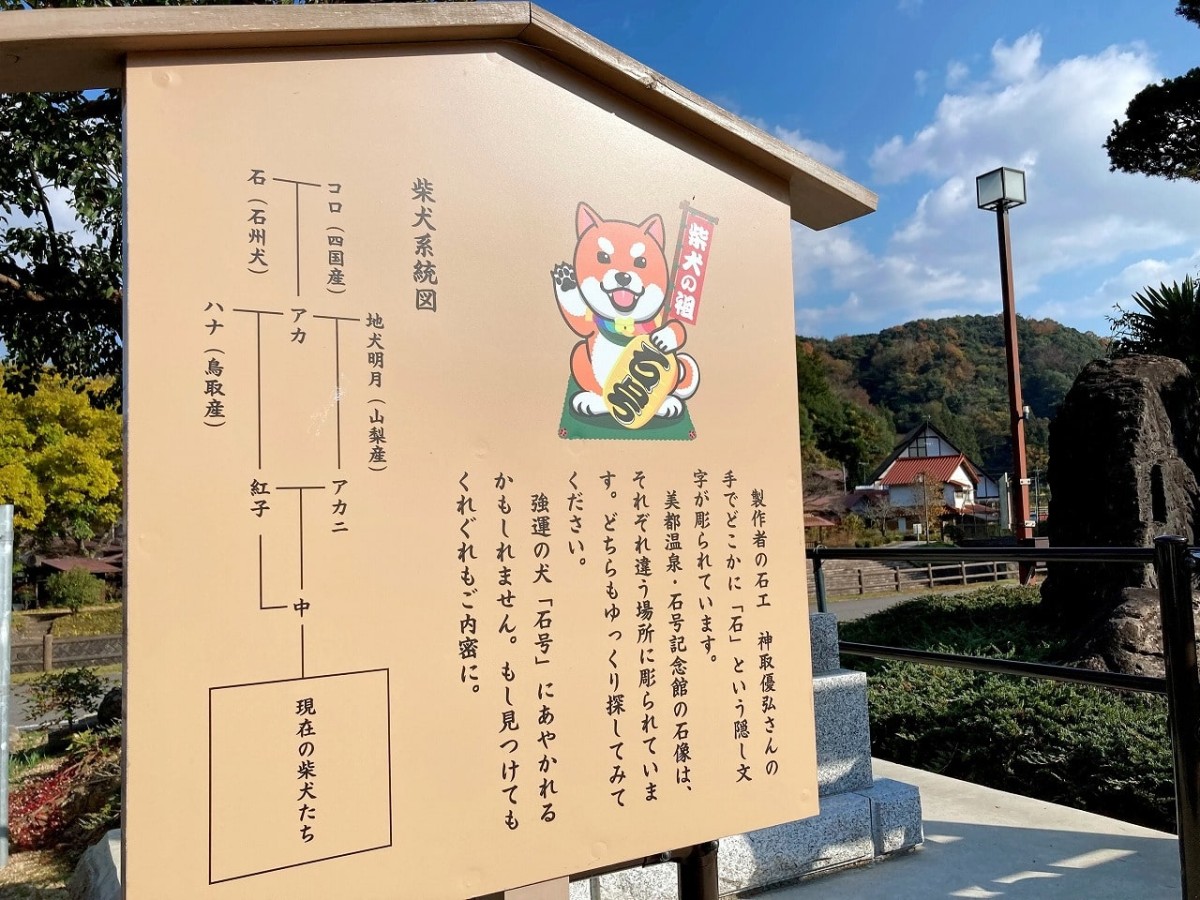 島根県益田市_石号_柴犬_先祖_お出かけ_オススメ