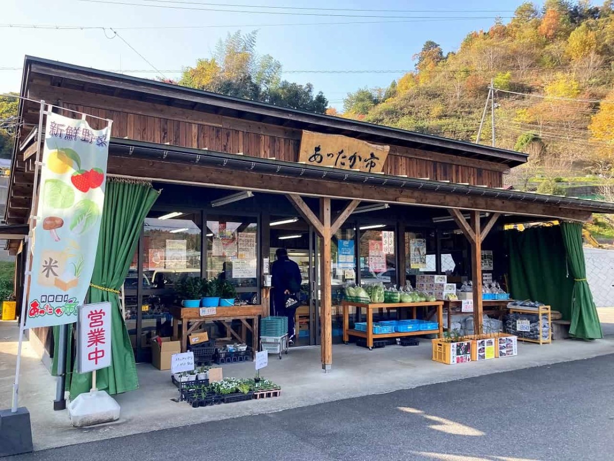 島根県益田市_石号_柴犬_先祖_お出かけ_オススメ