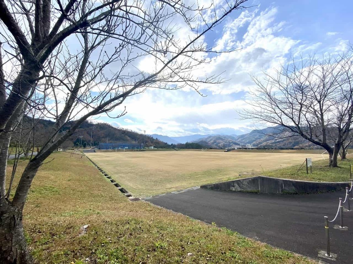 鳥取県鳥取市_用瀬町運動公園_家族_お出かけ_子連れ_ローラーすべり台_桜_花見_スポーツ