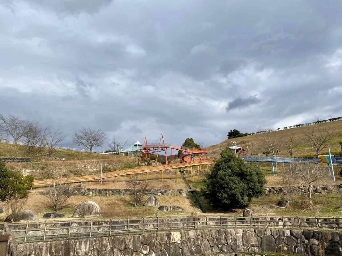 鳥取県鳥取市_用瀬町運動公園_家族_お出かけ_子連れ_ローラーすべり台_桜_花見_スポーツ