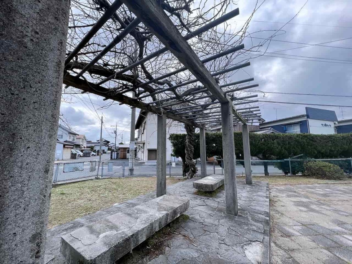 鳥取県米子市の三本松公園_ベンチ